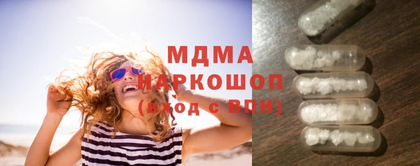 индика Алексин