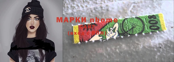 индика Алексин