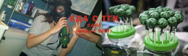индика Алексин