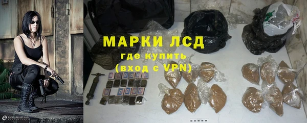 ПСИЛОЦИБИНОВЫЕ ГРИБЫ Алзамай