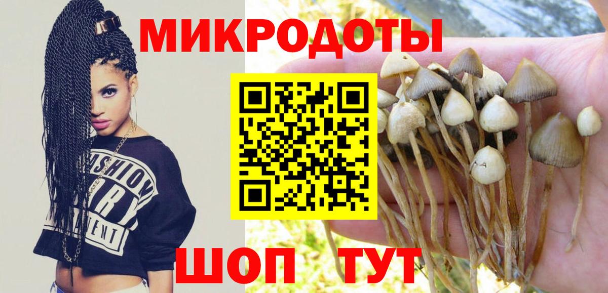 Псилоцибиновые грибы мицелий Советский